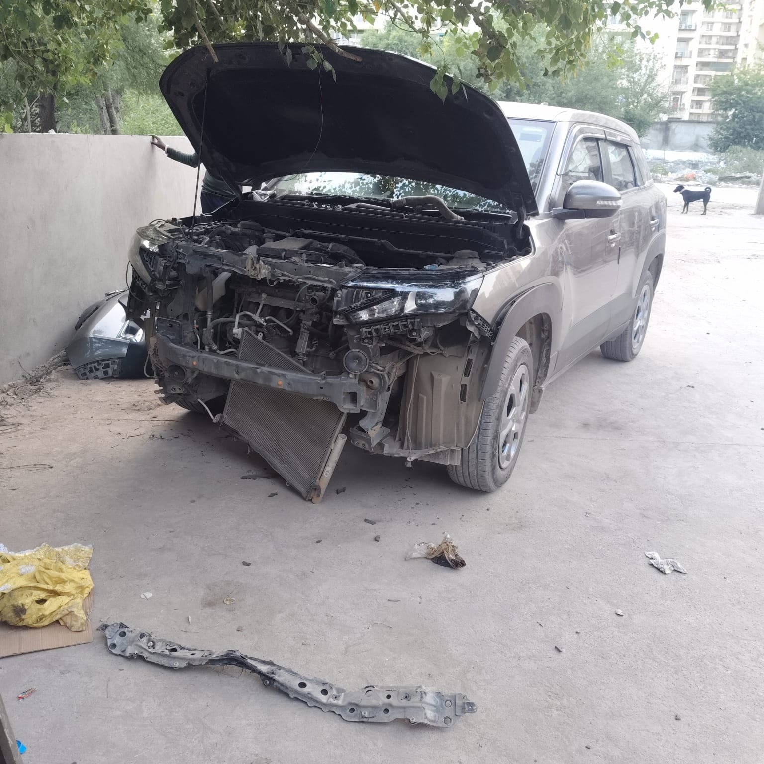 Electrical diagnostics